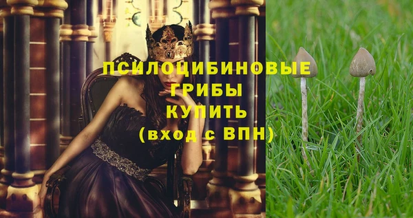 амф Майский