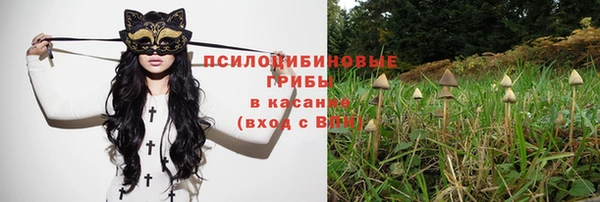 амф Майский