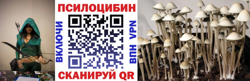 где продают наркотики  Топки  Галлюциногенные грибы прущие грибы 