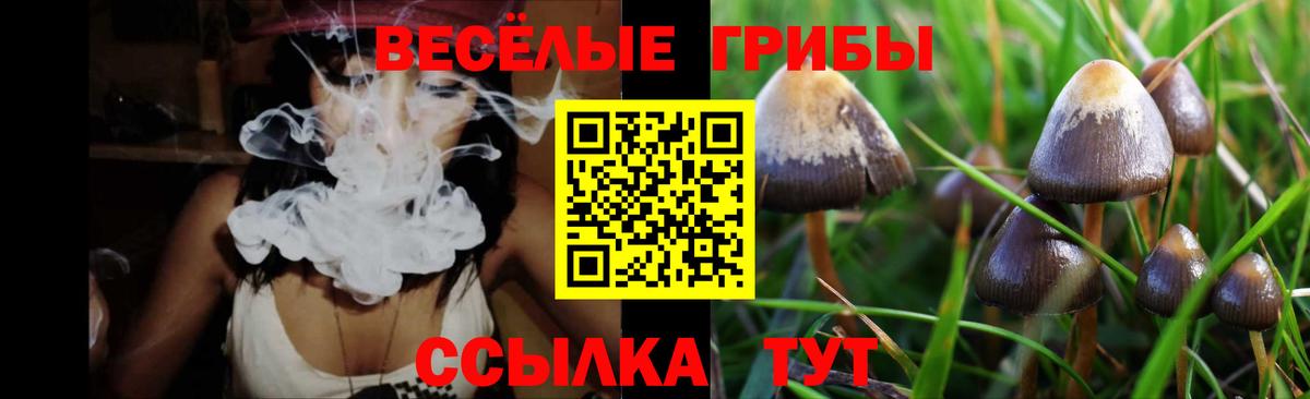 Галлюциногенные грибы мицелий  Псилоцибиновые грибы Cubensis  Топки 